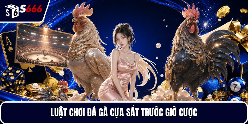 Luật chơi đá gà cựa sắt trước giờ cược